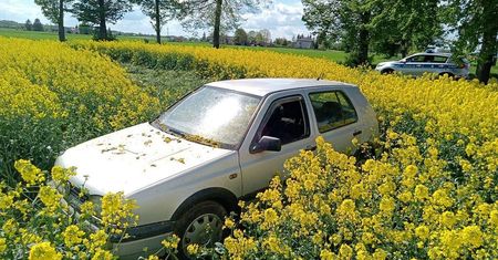 Ukradł auto, wylądował w rzepaku. Brawurowa ucieczka 38-latka