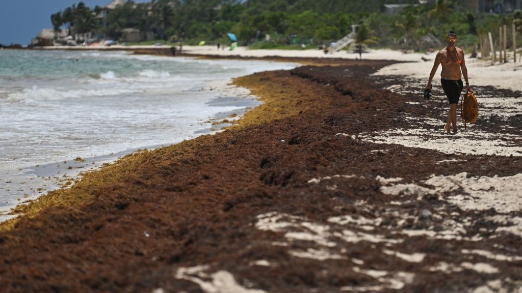 Plaża Punta Esmeralda w Playa del Carmen w marcu 2022 roku
