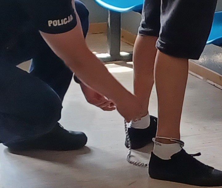 Fot. Licencjodawca