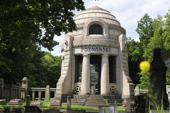 Największe cmentarze w Polsce. Który cmentarz jest największy w Europie i na świecie? 6 gigantycznych nekropolii na nastrojowy spacer