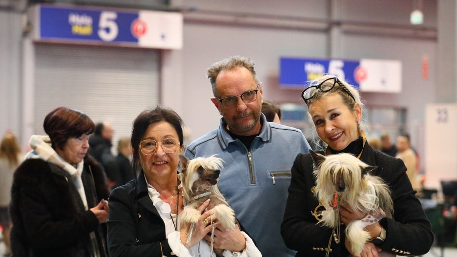Na Międzynarodową Wystawę Psów Rasowych do Targów Kielce przybyło wiele osób