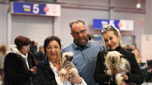 Kielce: Setki psów podczas Międzynarodowej Wystawy Psów Rasowych