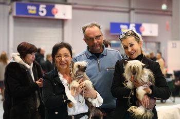 Kielce: Setki psów podczas Międzynarodowej Wystawy Psów Rasowych