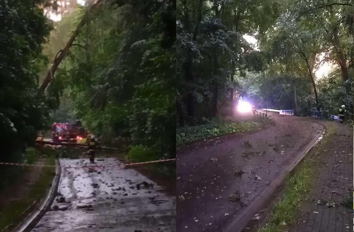 Drzewa łamały się jak zapałki. Dramatyczne nagranie spod Olesna