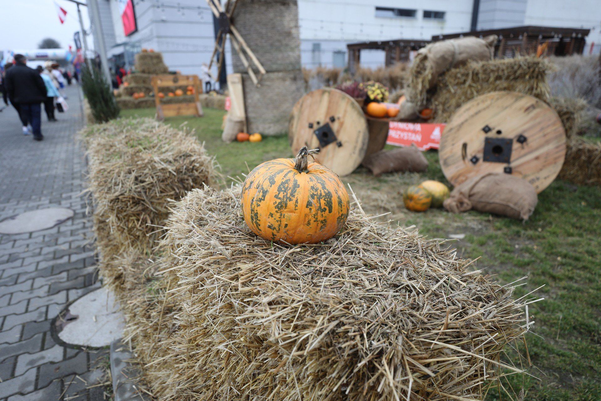 Dyniowa Przystań w Będzinie, a raczej to co z niej zostało. Tak prezentuje się teraz sezonowa atrakcja Zagłębia. Zobaczcie zdjęcia