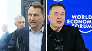 "Hej, Musk". Sikorski zaapelował ws. Starlinków