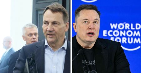 "Hej, Musk". Sikorski zaapelował ws. Starlinków