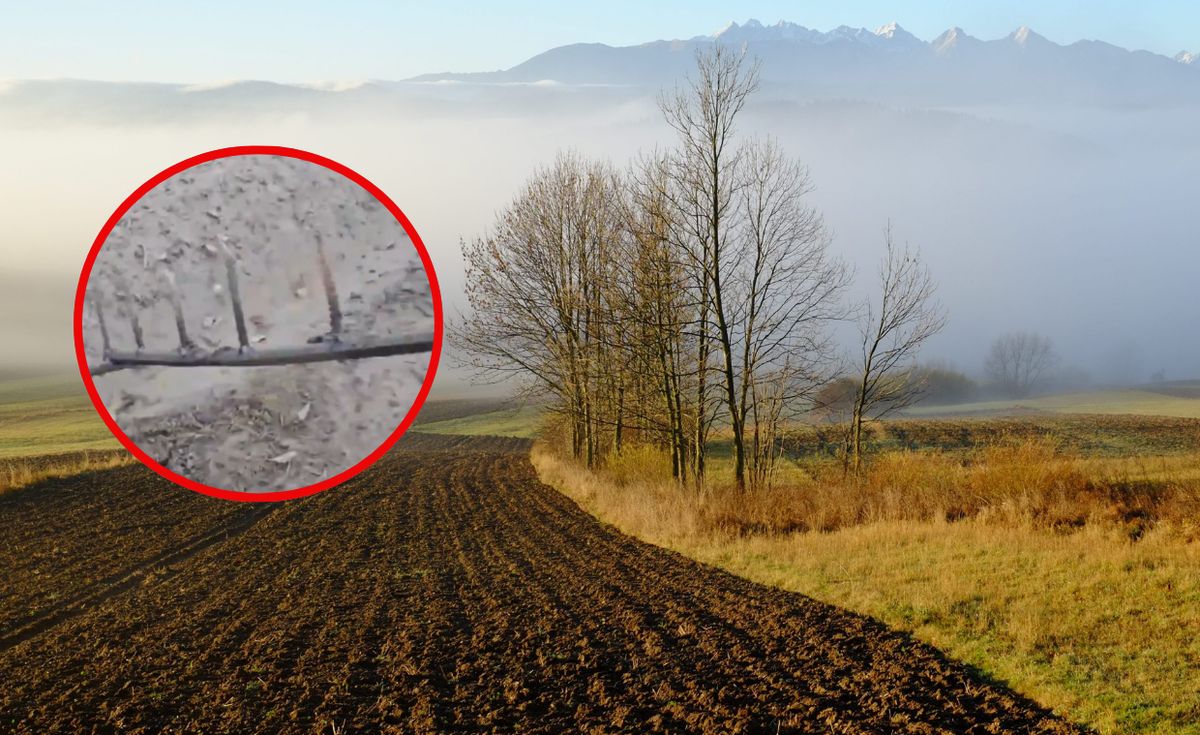 zagrożenie, tatry, rolnik, góral Śmiertelna pułapka w Tatrach. Bezmyślny sposób