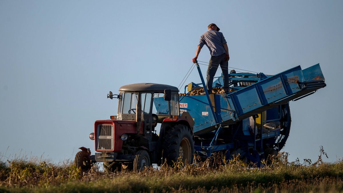Jeszcze w tym roku  rolnicy mogą zyskać nowe dodatki emerytalne 