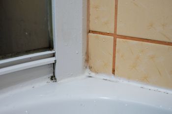 Wsmaruj w fugi. Pleśń zniknie szybciej niż myślisz