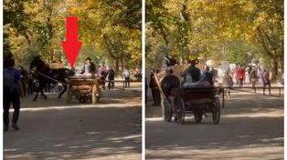 Arabowie w bryczce na nagraniu z Tatr. W sieci zawrzało
