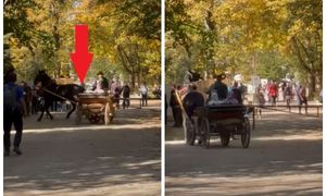 Arabowie w bryczce na nagraniu z Tatr. W sieci zawrzało