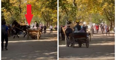 Arabowie w bryczce na nagraniu z Tatr. W sieci zawrzało