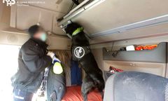 Wrocław. Przemytnicy narkotyków rozbici. W akcji pomógł pies Carlos