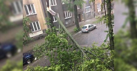 Gwałtowna burza przeszła nad Lublinem. Zobacz, gdzie utrudnienia