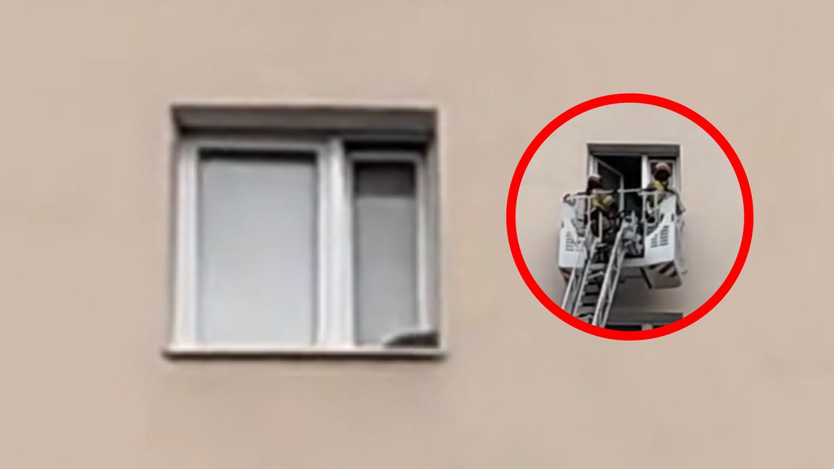 Akcja strażaków. Ratowali kotka