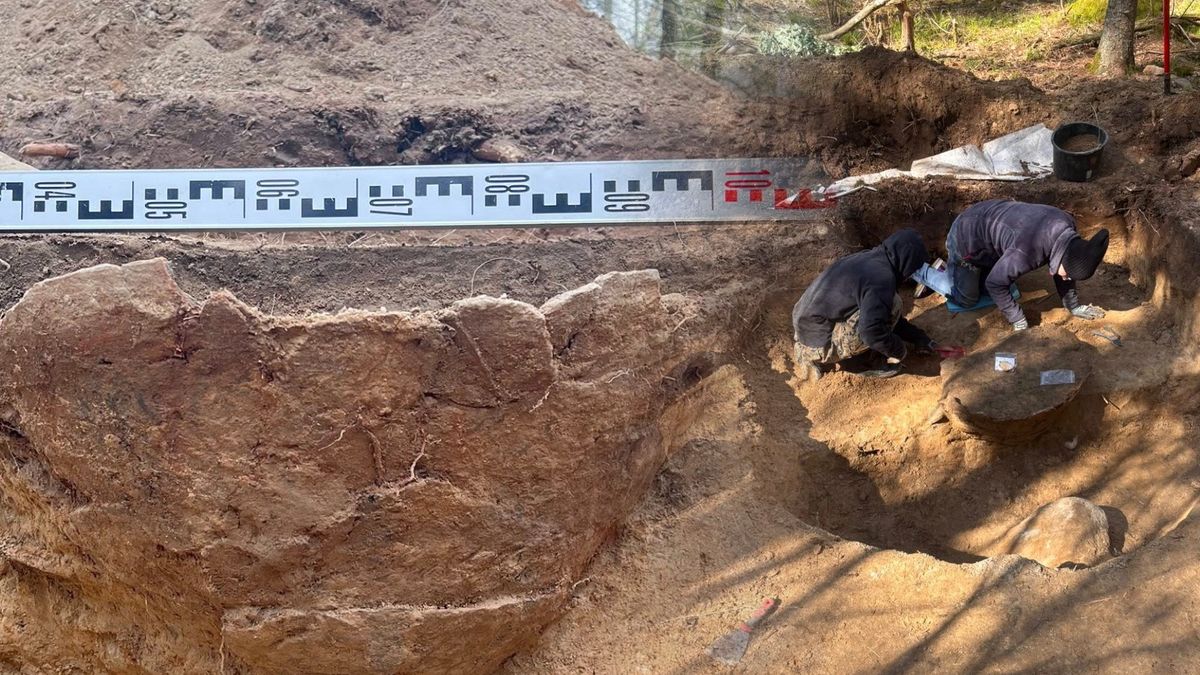  Niezwykłe odkrycie w Puszczy Boreckiej