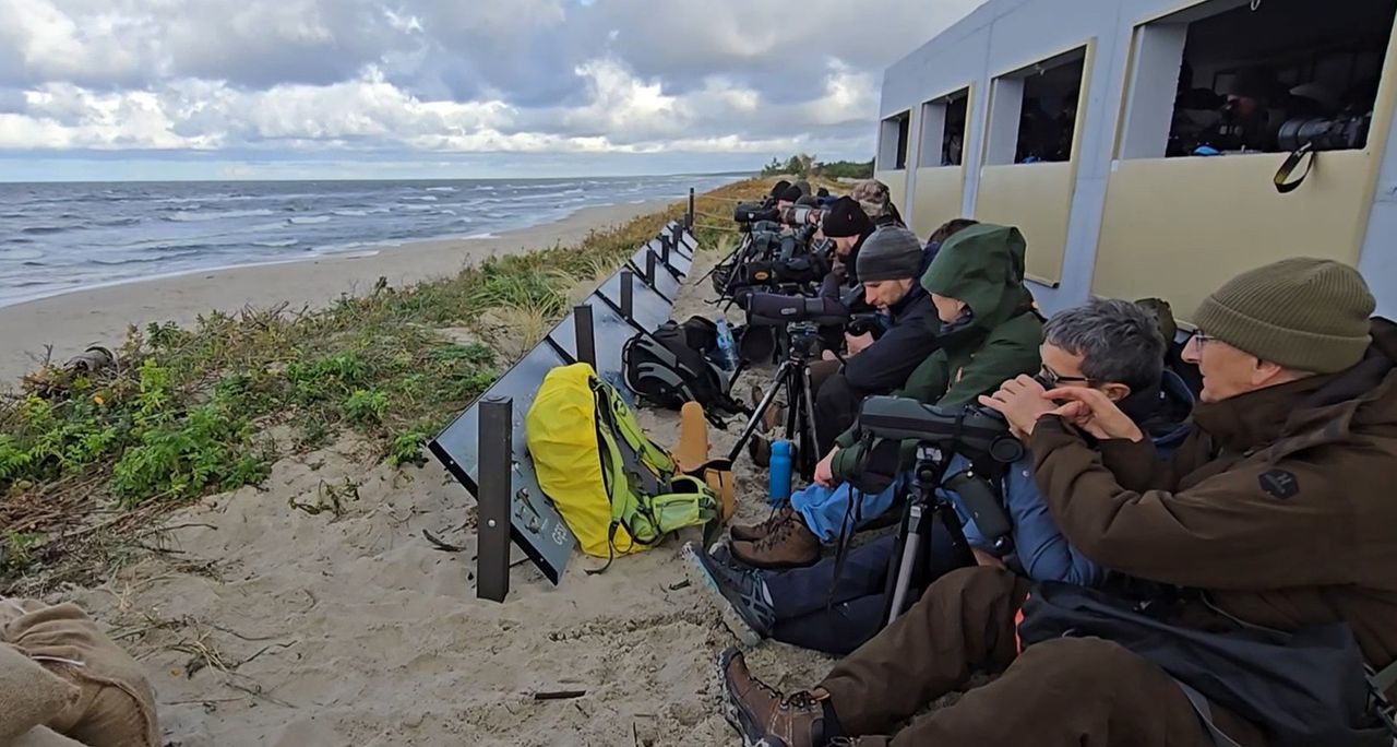 To miejsce przeżywa wielkie oblężenie. Tłoczą się i marzną, aby wszystko zobaczyć