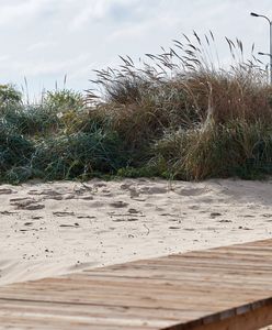 Makabra na plaży. Mężczyzna stracił dłoń