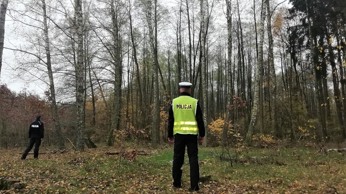 Zdjęcie ilustracyjne. 