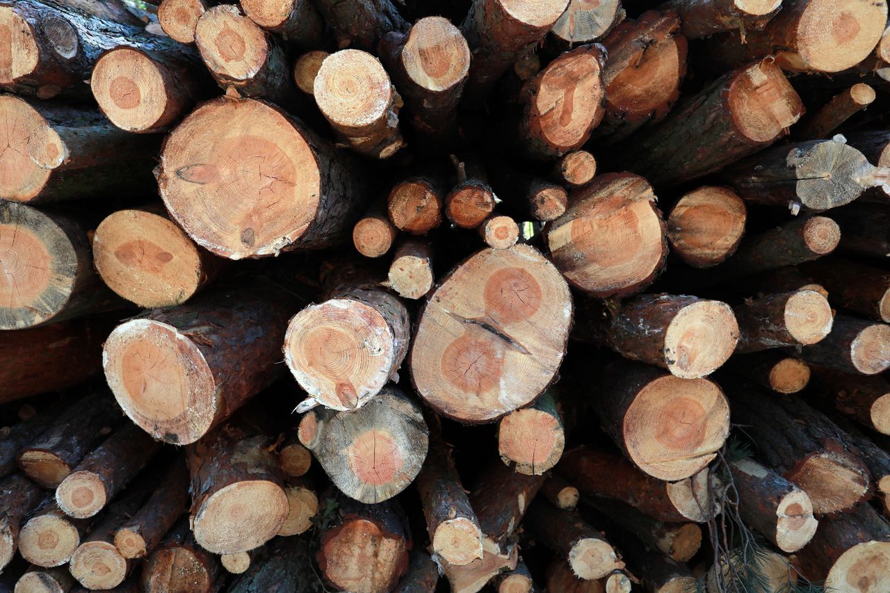 Branża drzewna w tarapatach. Przemysł traci swoją konkurencyjność