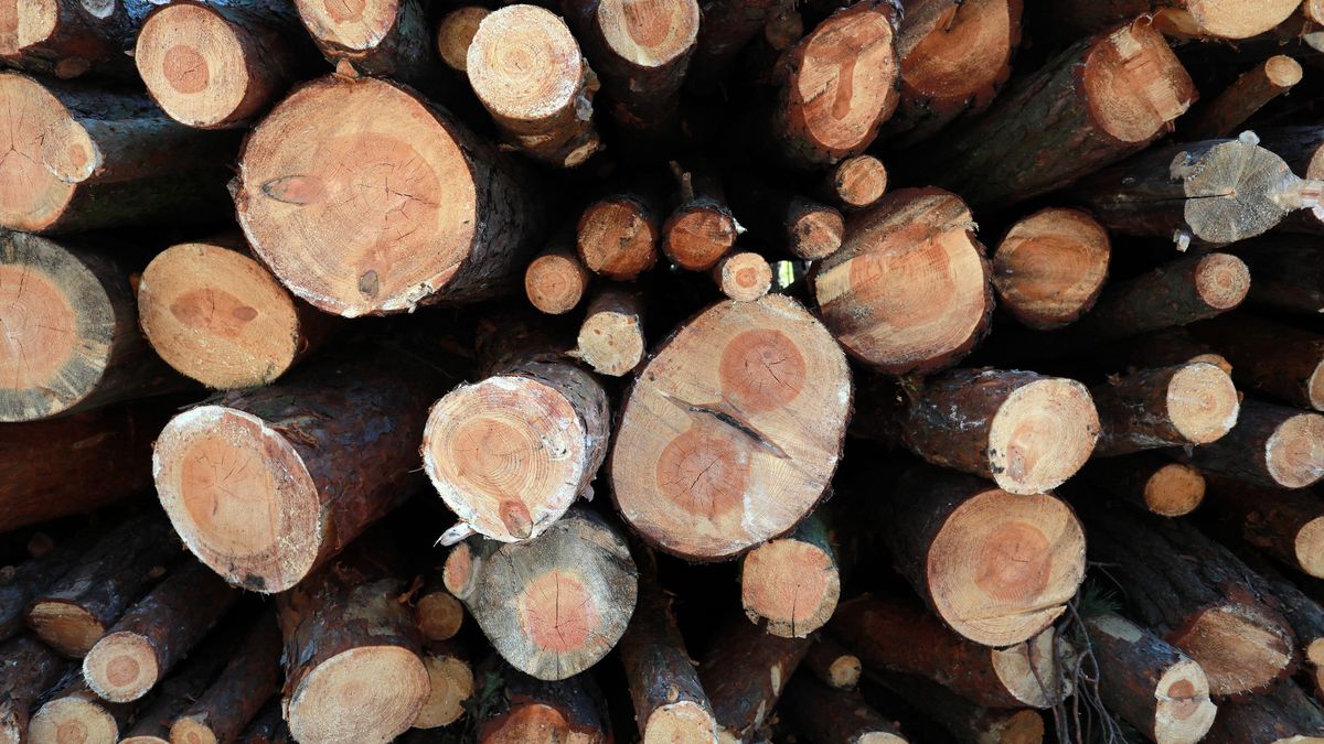 Przemysł drzewny ma problemy. Spada konkurencyjność