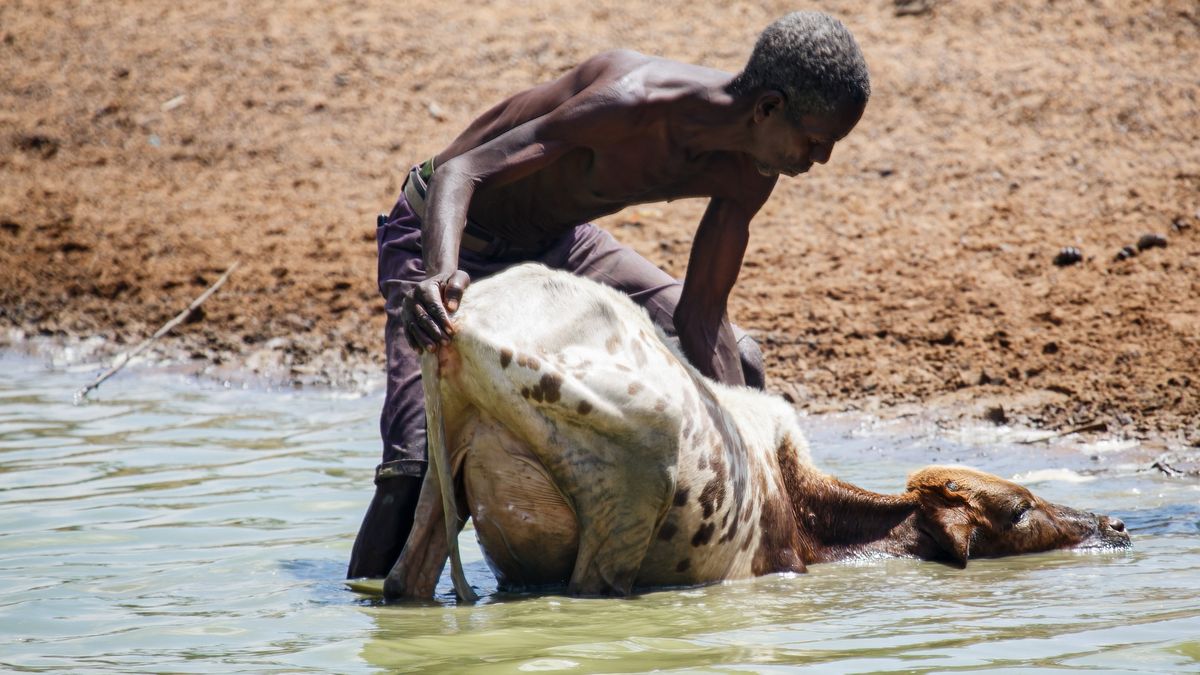 Kraje afrykańskie przestrzegają, że obecna sytuacja może doprowadzić na skraj załamania 280 mln osób.