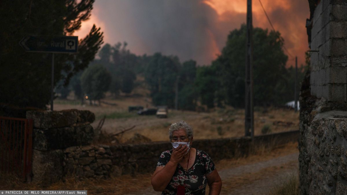 Pożary trawią południe Europy