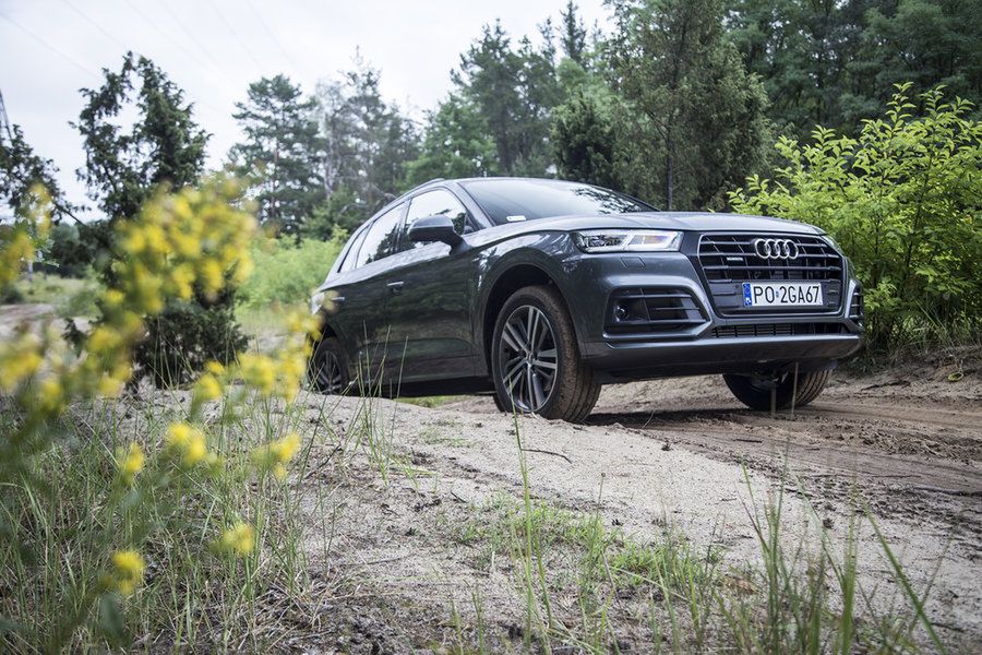 Audi Q5 (2020) (fot. Mateusz Żuchowski)