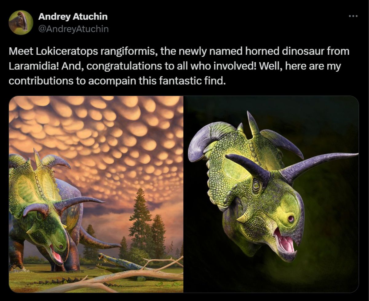 This is how Lokiceratops might have looked.