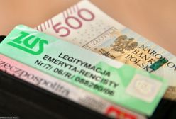 Zmiany w legitymacjach emerytów. Ten dokument ma już ponad pół miliona seniorów