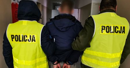 Zrzucił psa z ósmego piętra. Wyrok zapadł w jeden dzień