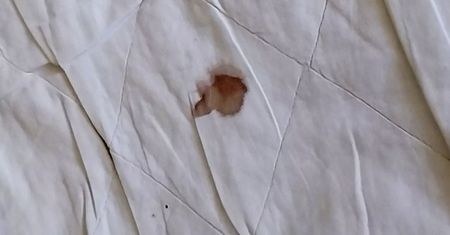Hotel w Turcji z piekła rodem. Turysta wytrzymał w nim kilka godzin