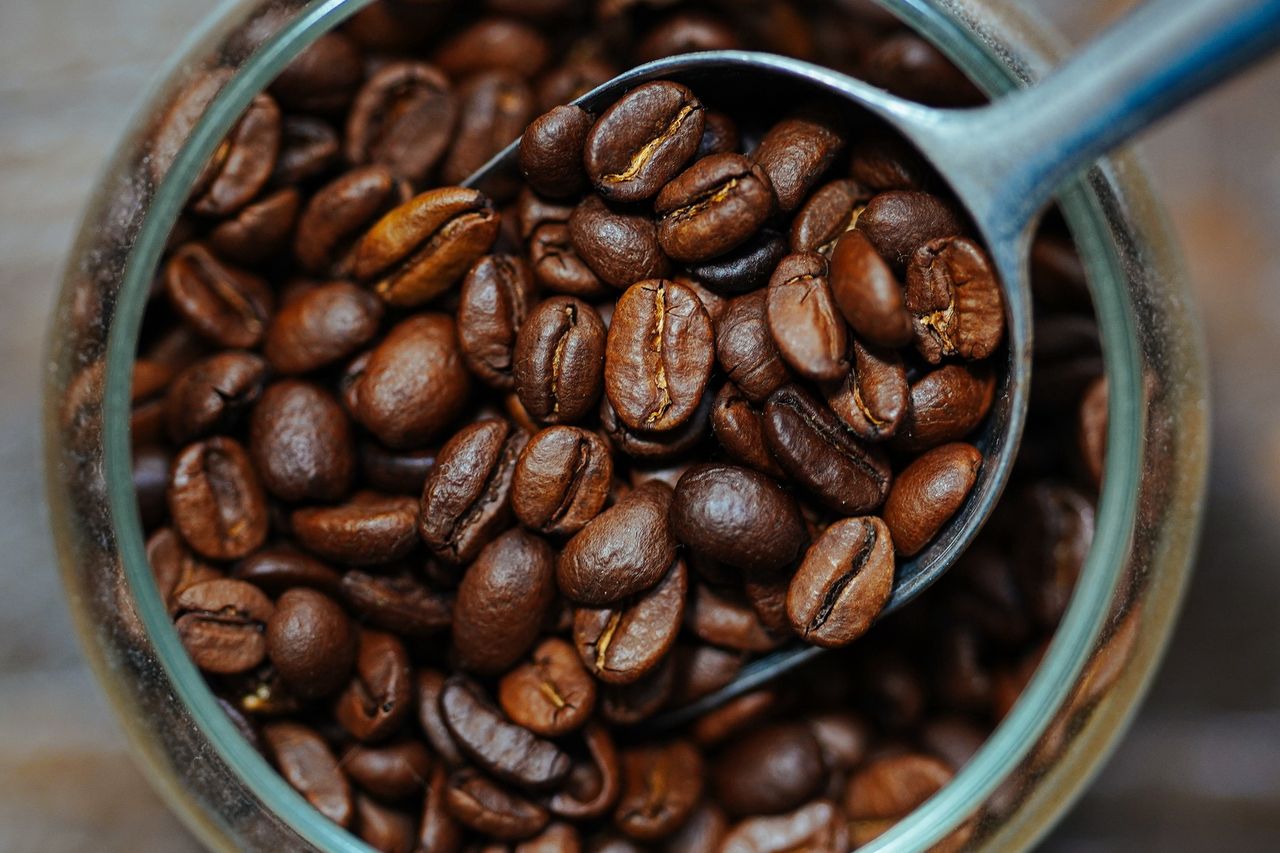 Cena tej kawy przyprawia o zawrót głowy. Rośnie tylko w jednym miejscu na świcie i jest zbierana ręcznie