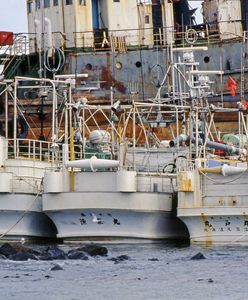 Rosja zajmuje duńskie statki