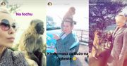 Doda poleciała na Gibraltar karmić małpy. "Kiedy masz dużo na głowie"... (FOTO)