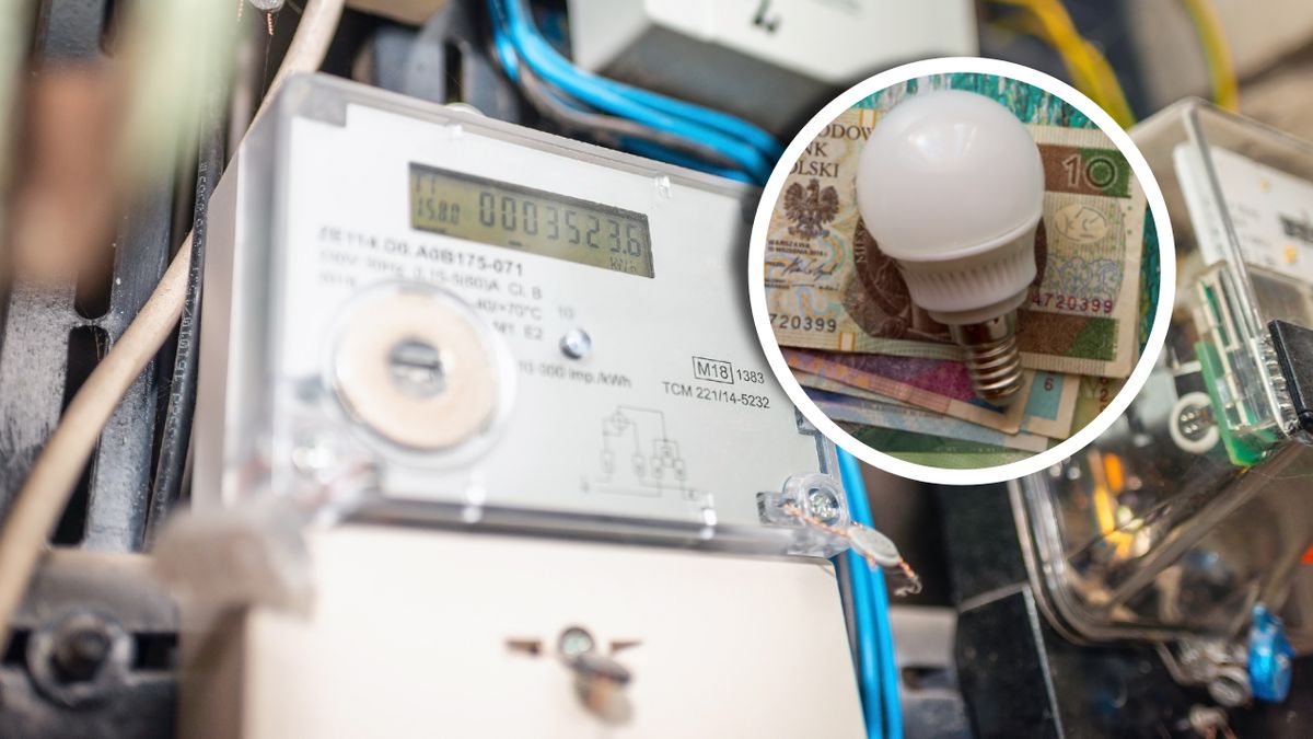 Ceny prądu bez pomocy państwa mogą być wyższe od obecnych o nawet 100 proc.