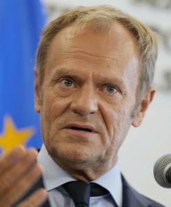 Sondaż dla WP. Czy Donald Tusk odbierze władzę PiS? Były premier nie będzie zadowolony