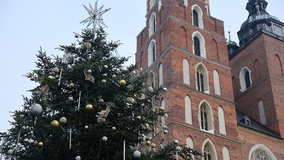 W Krakowie na Rynku Głównym pojawiła się już choinka