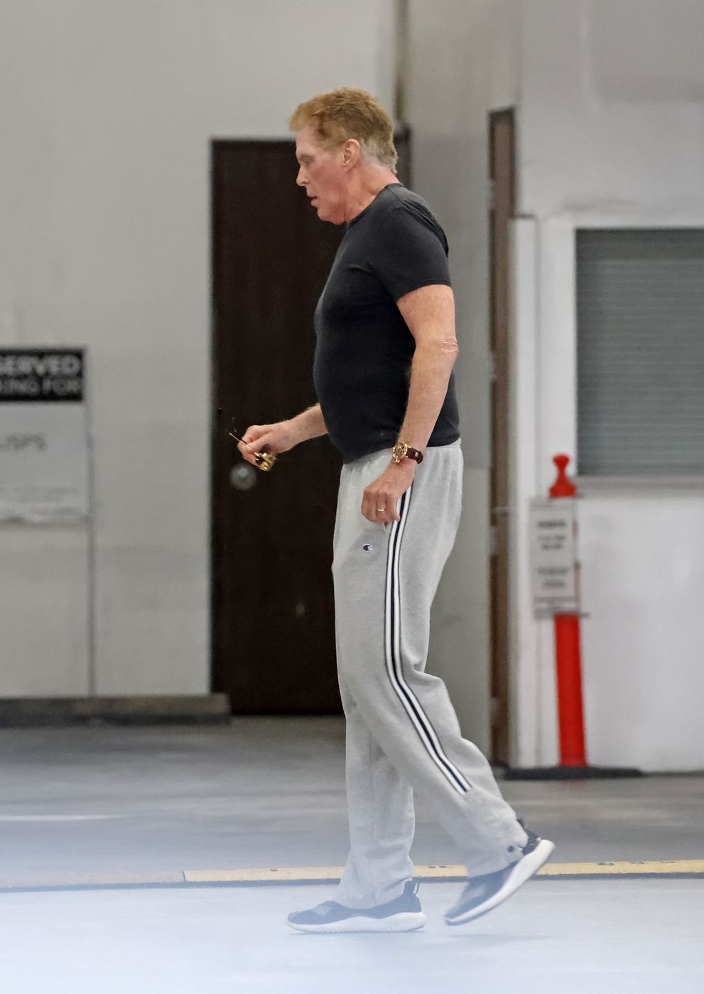 David Hasselhoff