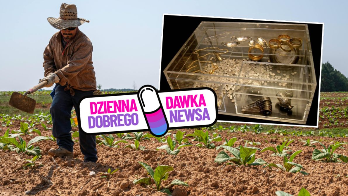 Rolnik znalazł skarb warty fortunę. Historia Hoxne Hoard