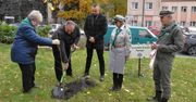 Inowrocław: Na Skwerze Sybiraków  posadzono Harcerskie Drzewa Pamięci