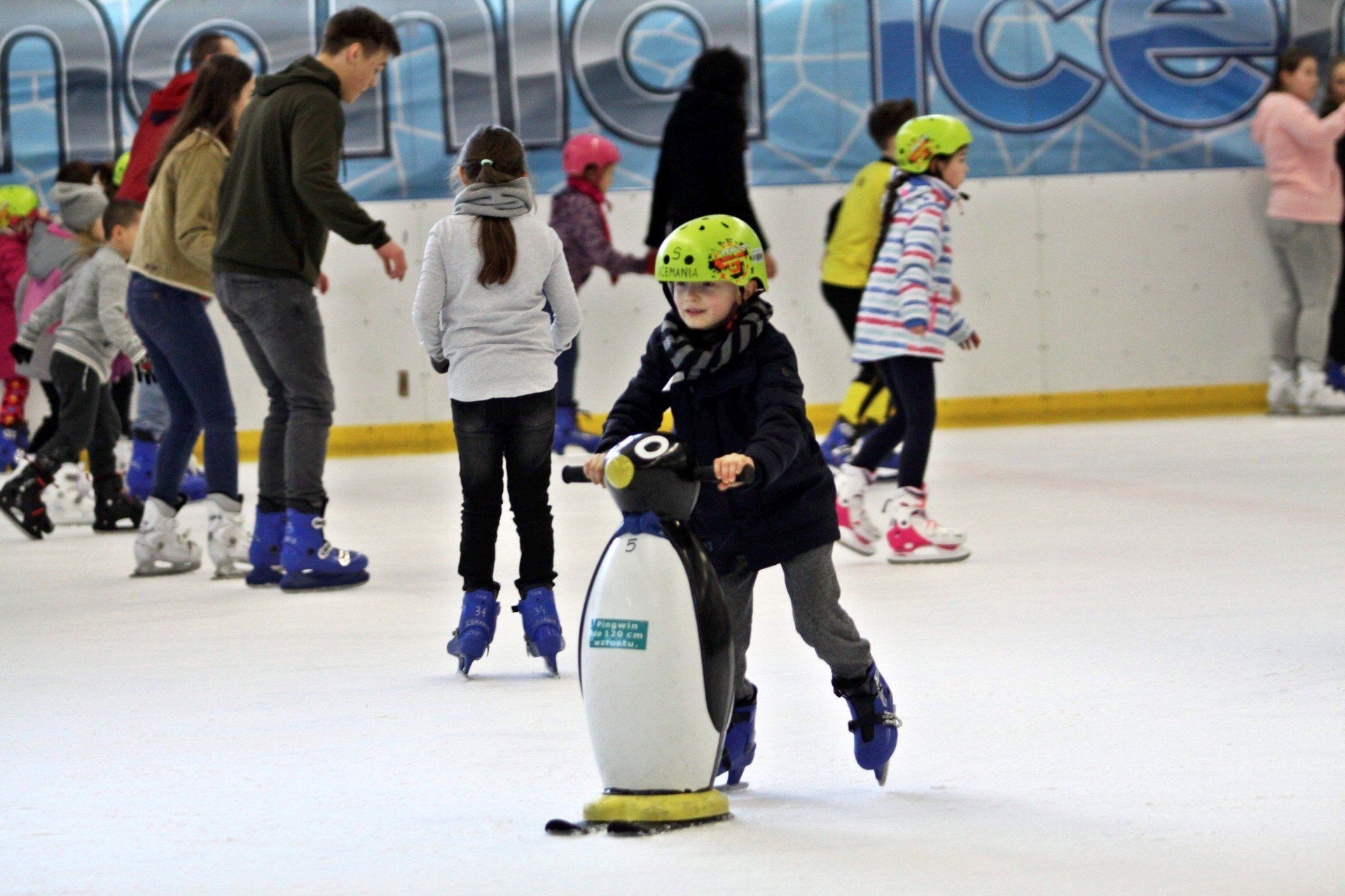 18.02.2019 LUBLIN ICEMANIA DRUGI TYDZIEN FERII LYZWY FERIE


FOT. MALGORZATA GENCA / POLSKA PRESS
