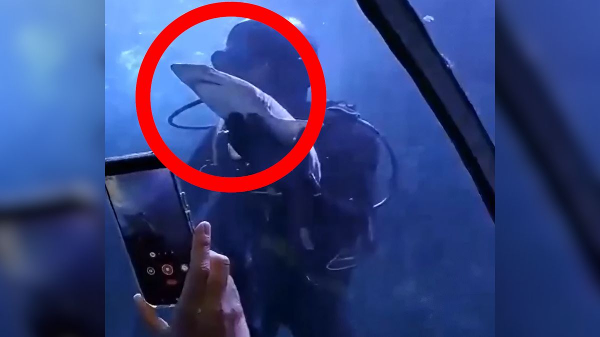 Tawrosz piaskowy chwilę po narodzinach