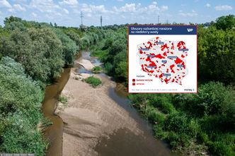 Polsce grozi potężny kryzys. Woda może pogrążyć gospodarkę