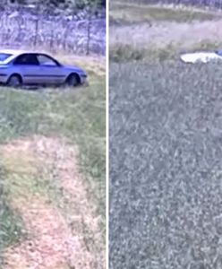 Kierowca chyba stracił rozum. Nagranie z polskiej granicy