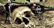 Szkielet człowieka giganta. Powracający mit