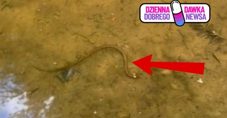 Egzotyka w polskich lasach. "Nie trzeba jechać na koniec świata"