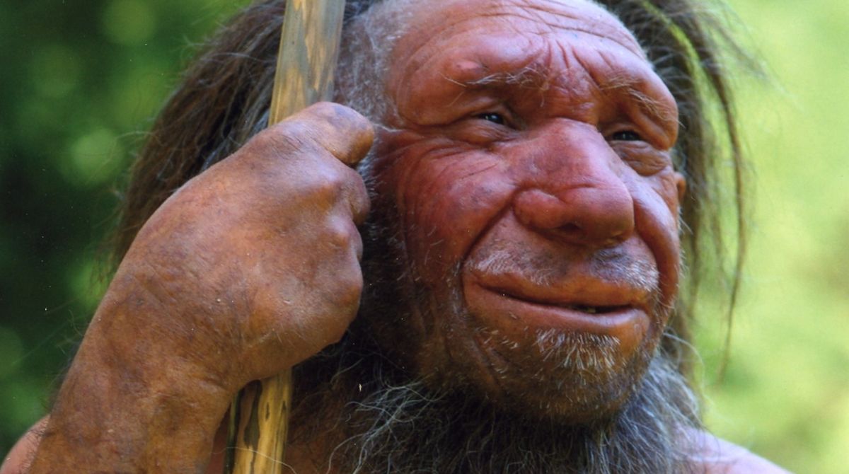 Człowiek neandertalski.