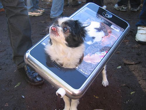 kostium iphone